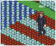 ReSpite 2D MMO screenshot featuring an American flag and Canadian flag made of flowers.